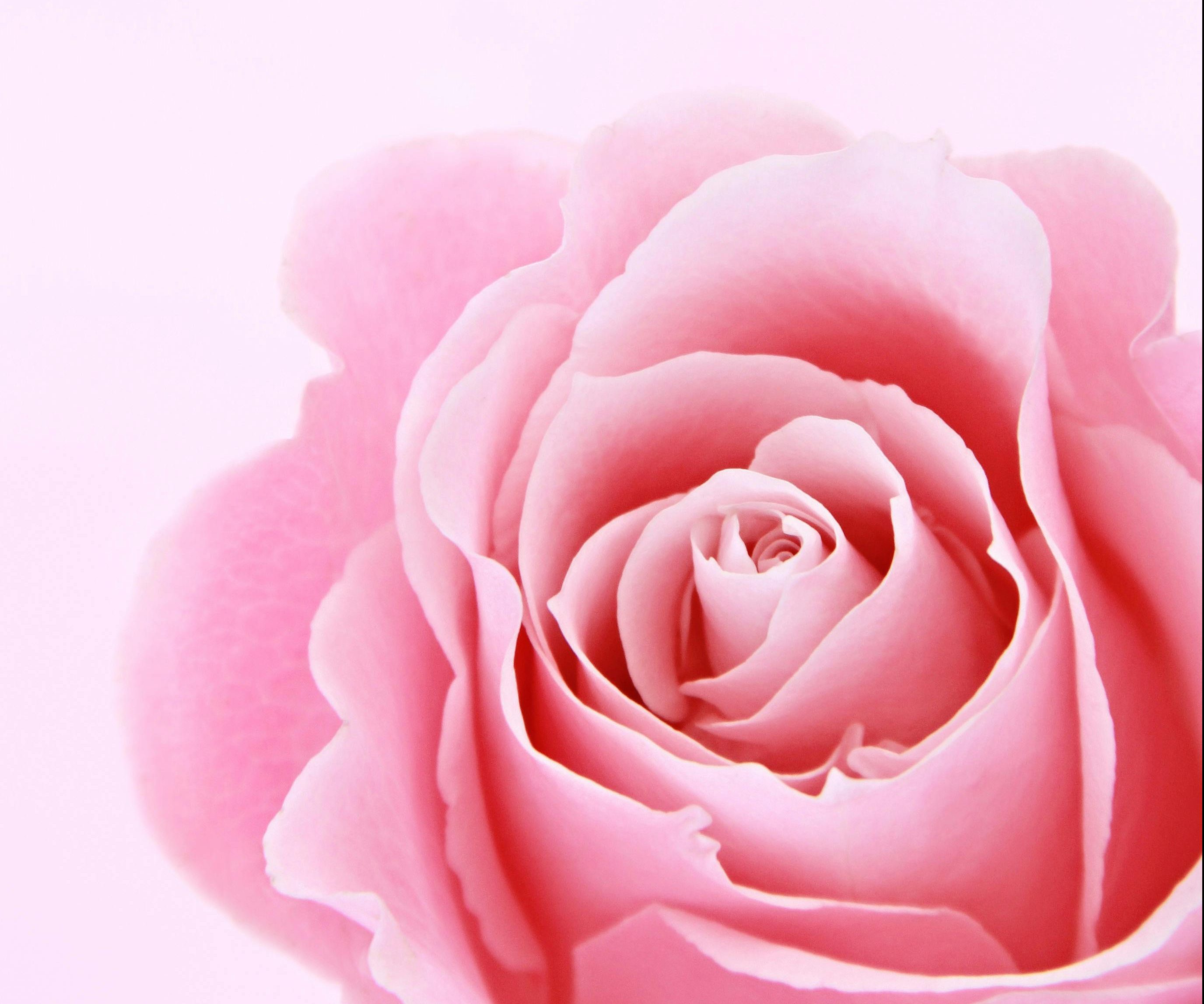 Is Labiaplasty Painful? What Most Women Experience